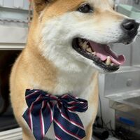 画像4666