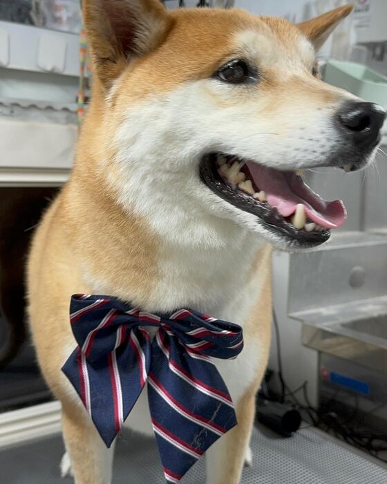 画像4666