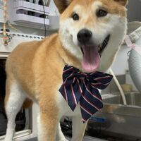 画像4667