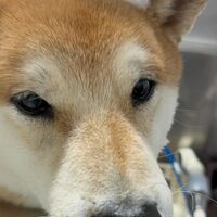 画像4669