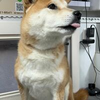 画像4670
