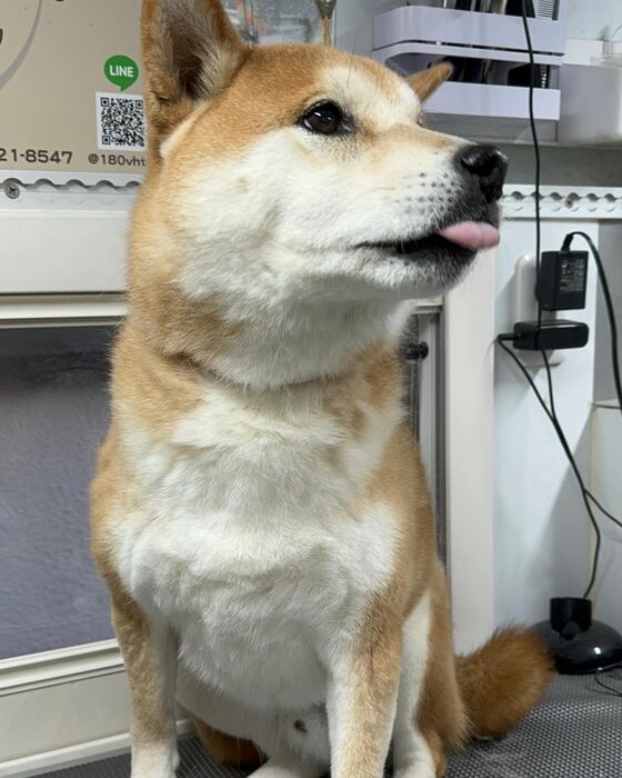 画像4670