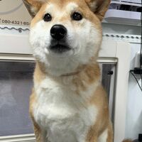 画像4671