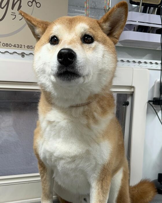 画像4671