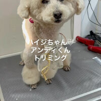 画像4673