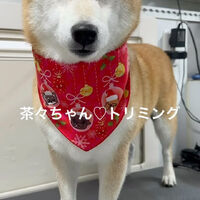 画像4675