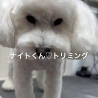 画像4677