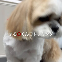 画像4679
