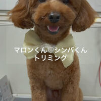 画像4683