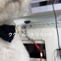 画像4685