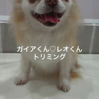画像4687