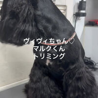 画像4691