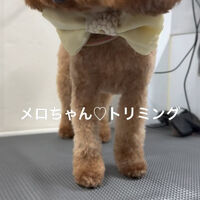 画像4695