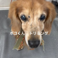 画像4708