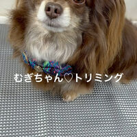 画像4723