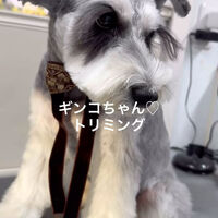 画像4725