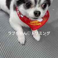 画像4729
