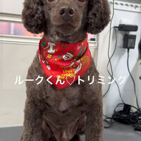 画像4767