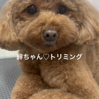 画像4775