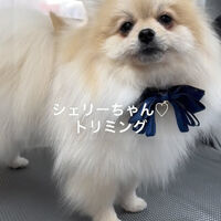 画像4777