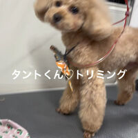 画像4779