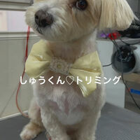 画像4781