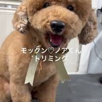 画像4783