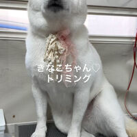 画像4785