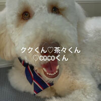 画像4789