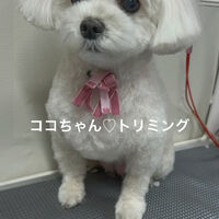 画像4791