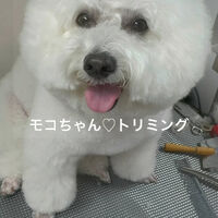 画像4795