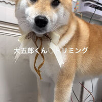 画像4801