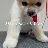 画像4803