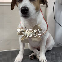 画像4805