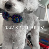 画像4807
