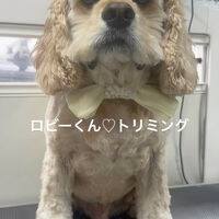 画像4809