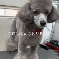 画像4811