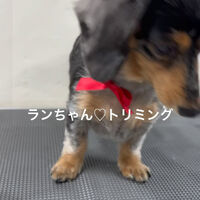 画像4815
