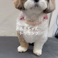 画像4817