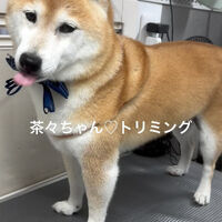 画像4819