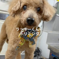 画像4823