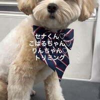 画像4825