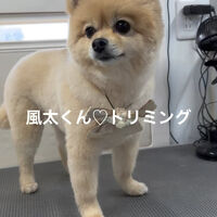 画像4827
