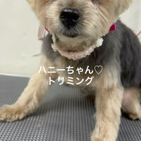 画像4829
