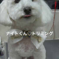 画像4831