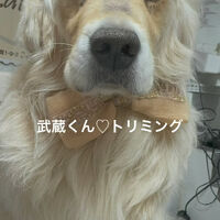 画像4833