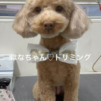 画像4835