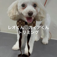 画像4837