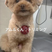 画像4839