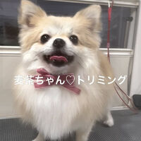 画像4841